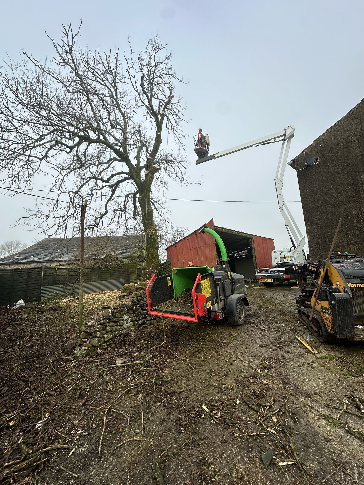 Tree Care 3