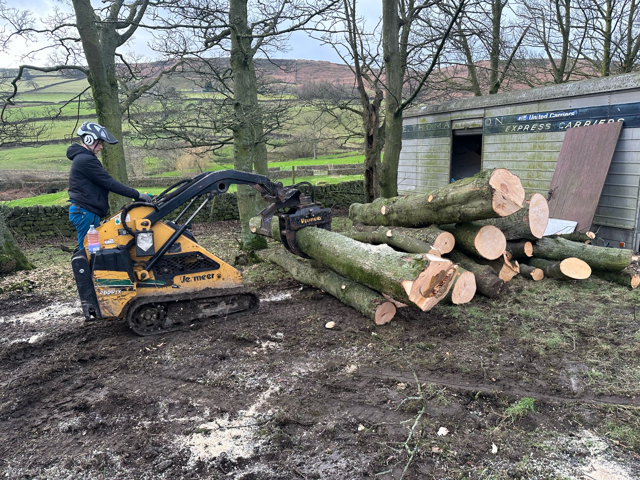 Tree Care 2